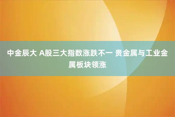 中金辰大 A股三大指数涨跌不一 贵金属与工业金属板块领涨